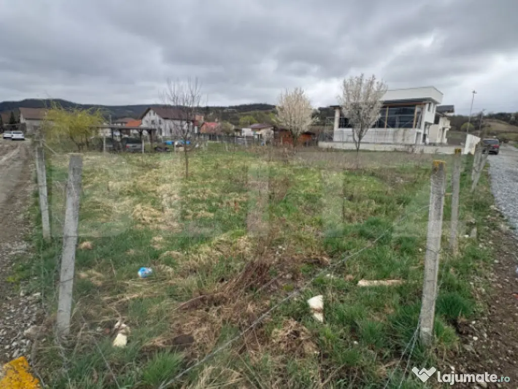 Teren INTRAVILAN ZAVOAIE Pozitie Excelenta 