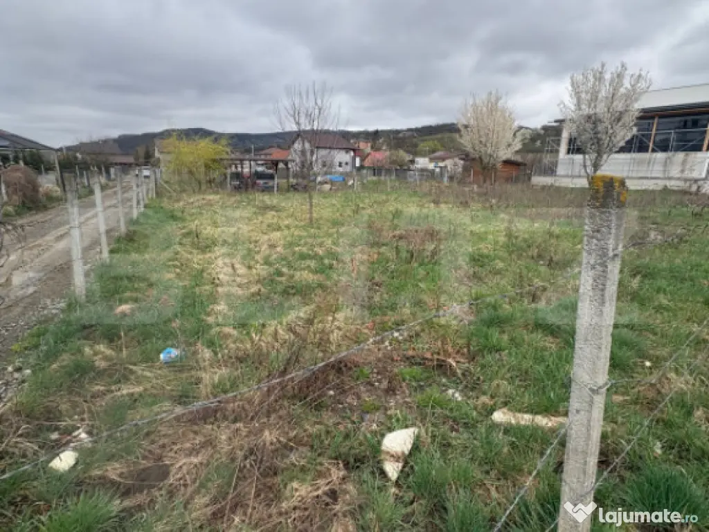 Teren INTRAVILAN ZAVOAIE Pozitie Excelenta 