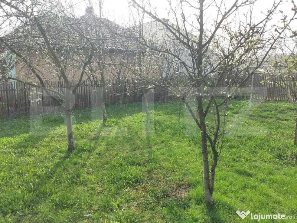Proprietate 8600 mp cu casa veche si bucatarie de vara, Iclo 