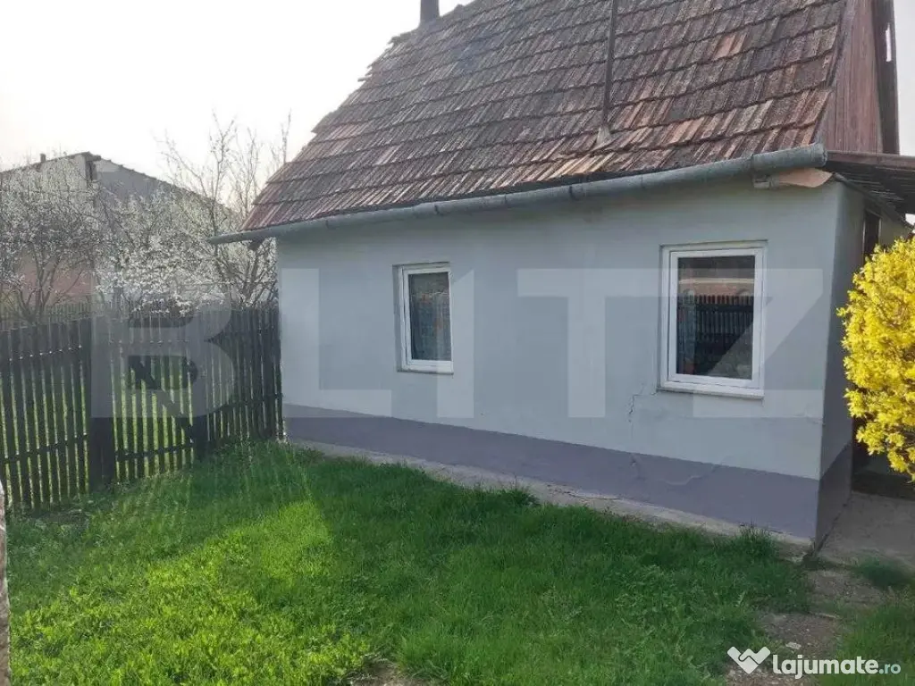 Proprietate 8600 mp cu casa veche si bucatarie de vara, Iclo 
