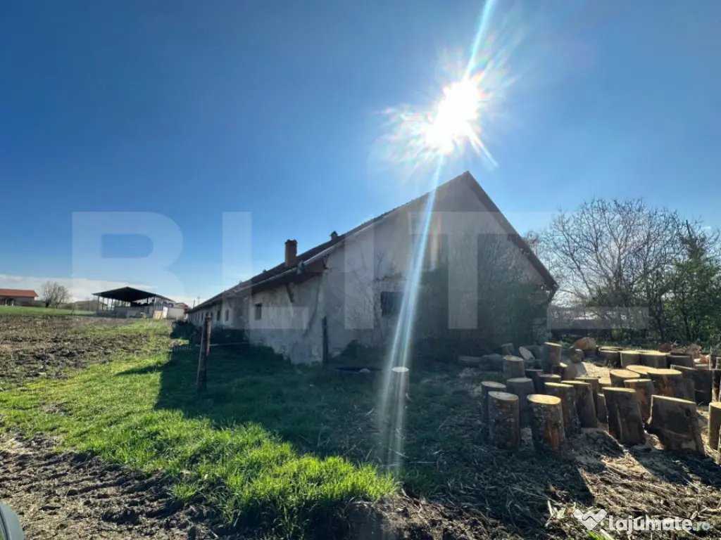 Hală zootehnică 651 mp pe teren 1.193 mp, Banpotoc – acc 