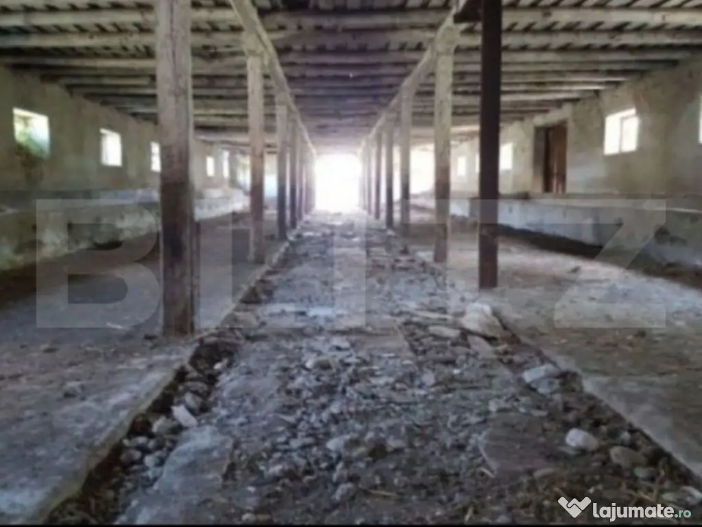 Hală zootehnică 651 mp pe teren 1.193 mp, Banpotoc – acc 