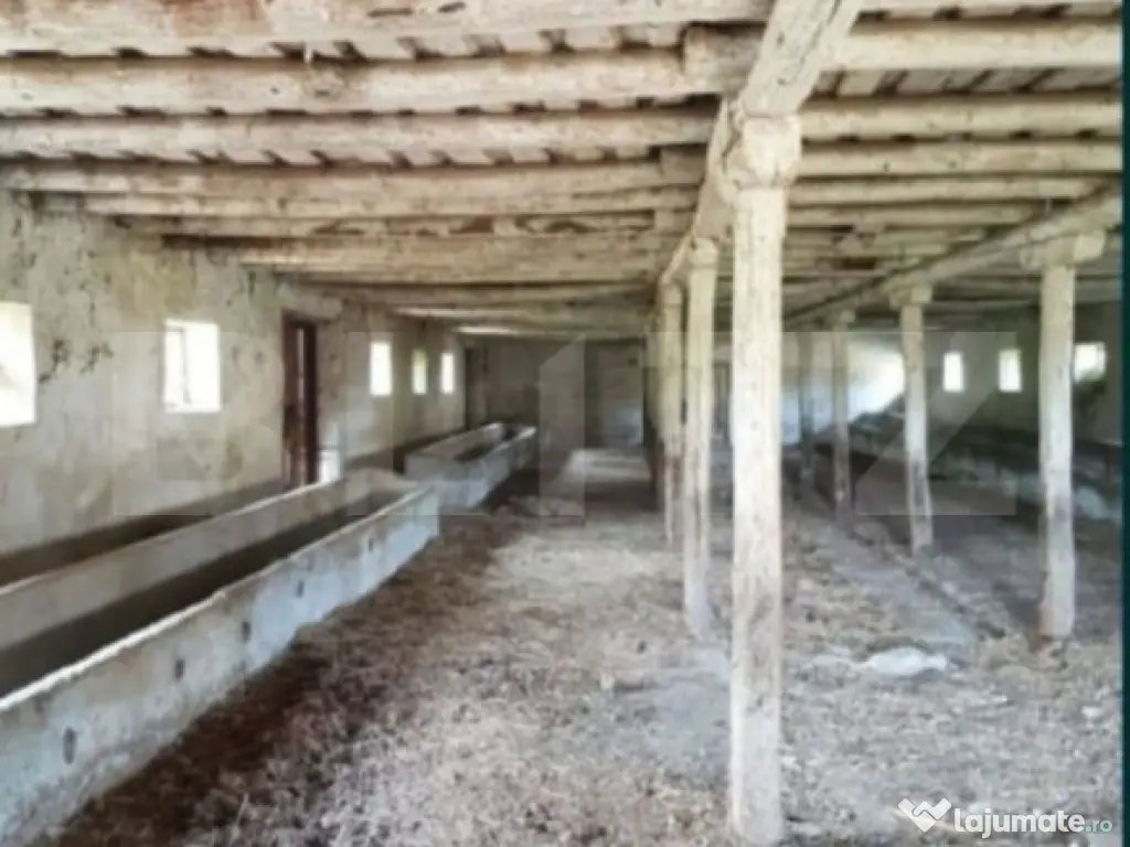 Hală zootehnică 651 mp pe teren 1.193 mp, Banpotoc – acc 