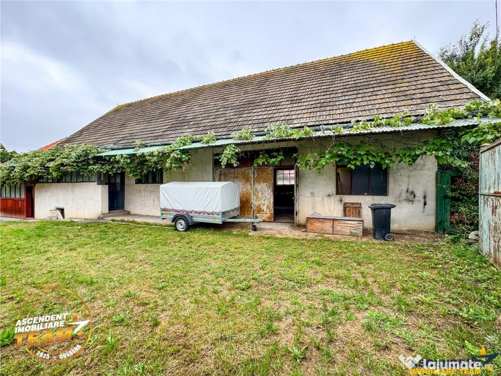 FILM! 2 case,domeniu de 1.660mp, cu atelier,anexe,Lemnia,Co 