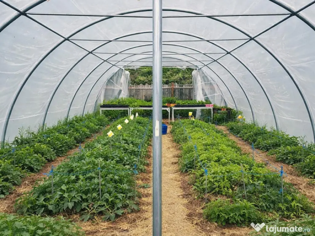 Transilvania Camping, domeniu de 14.400mp,Sanmarghita de Mur