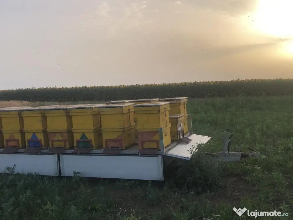 Remorcă auto 2700 kg cu prelată demontabilă și troliu – sau schimb cu ATV