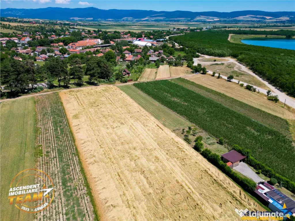 FILM! Teren extravilan, Valea Crisului, Covasna 