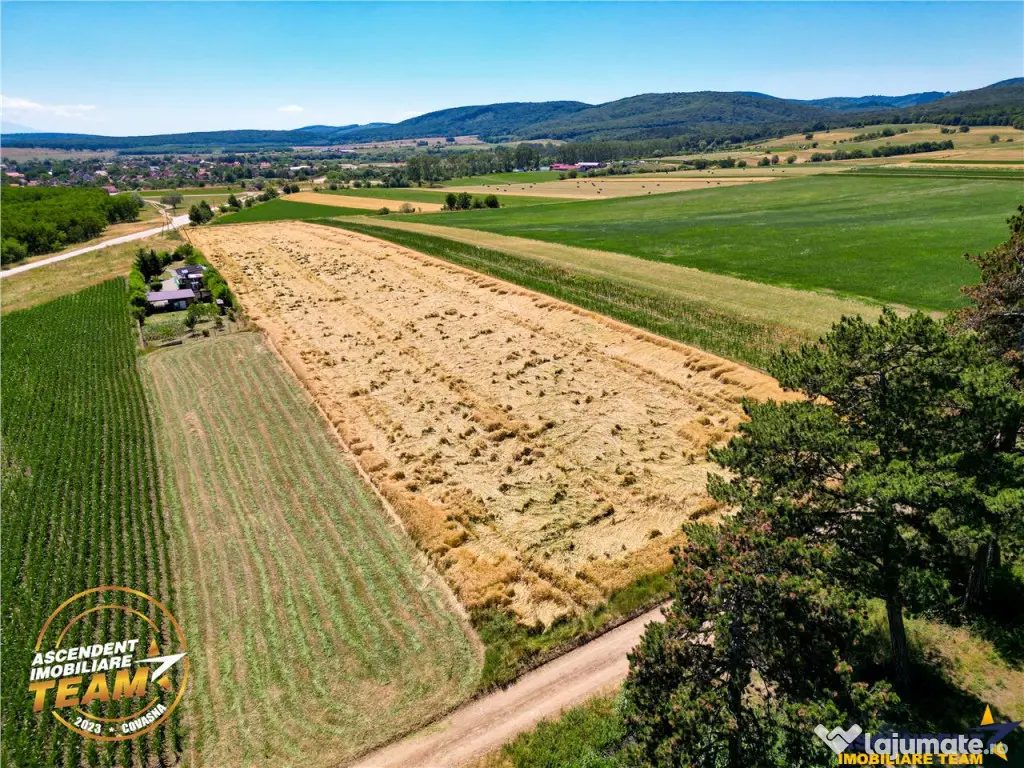 FILM! Teren extravilan, Valea Crisului, Covasna 