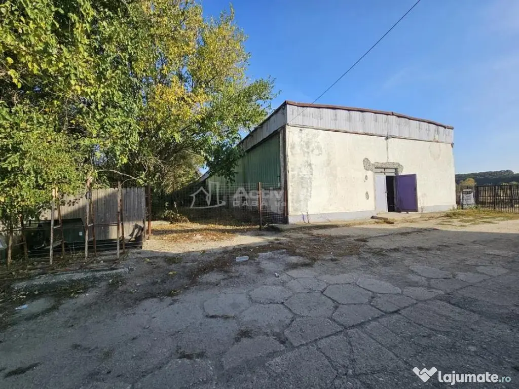 Hala industriala (1000 mp) si teren (4000 mp), Scornicesti, 