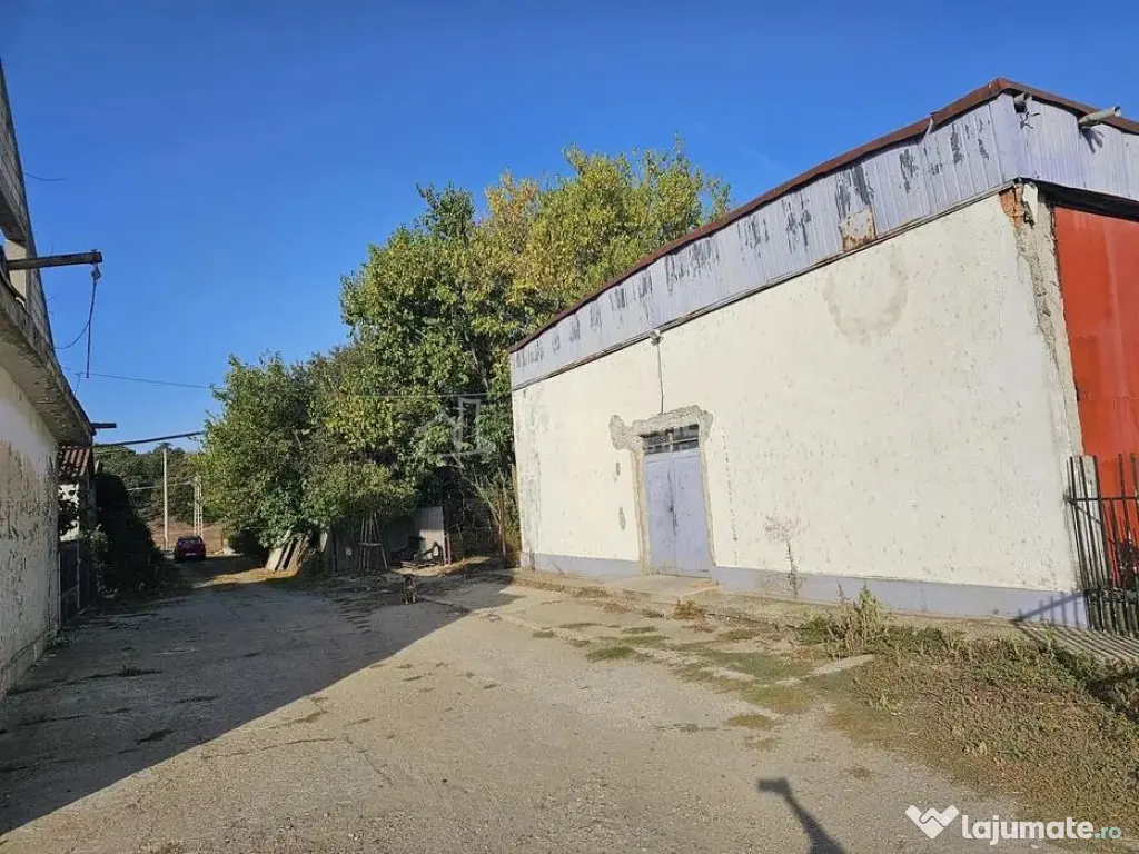 Hala industriala (1000 mp) si teren (4000 mp), Scornicesti, 