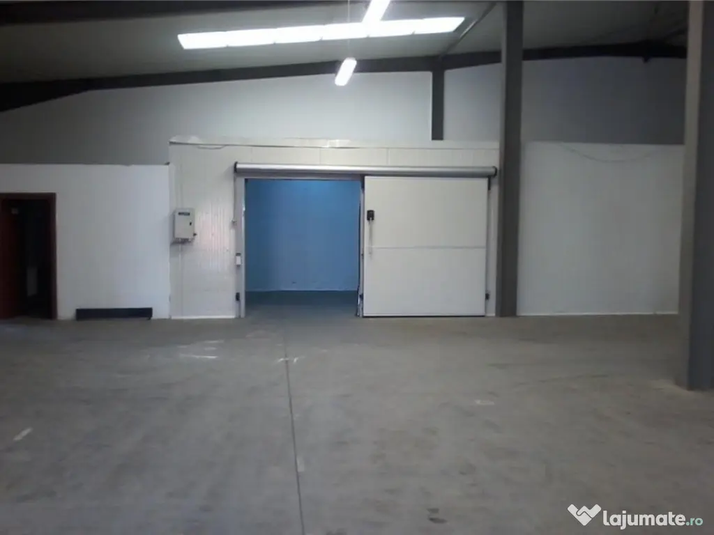 Hala 626 mp. zona UTA - ID : RH-10165-property