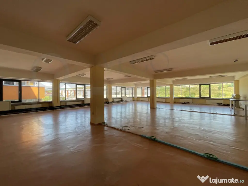 Spatiu birouri, productie, showroom, fitness, Bdul Muncii 