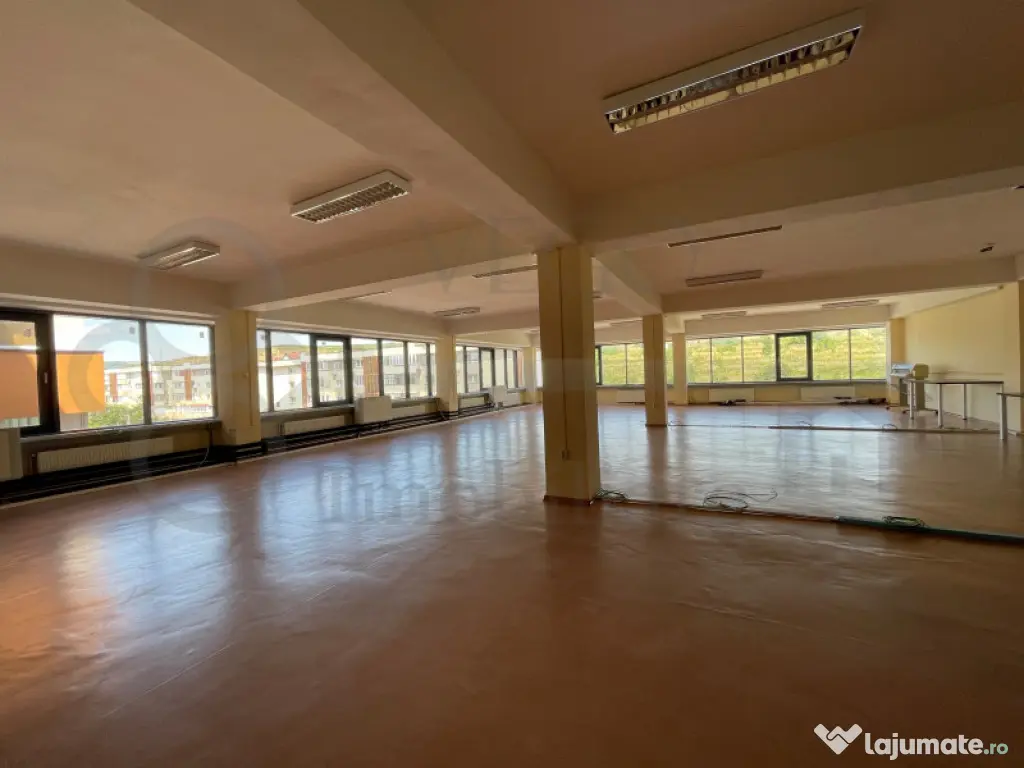 Spatiu birouri, productie, showroom, fitness, Bdul Muncii 