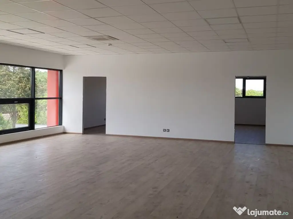 Spatiu depozitare si productie soseaua de centura Mogosoaia