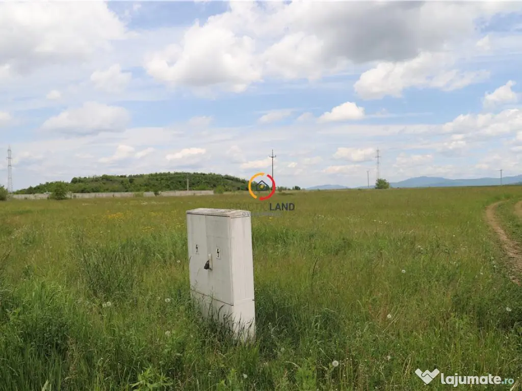 Teren intravilan13100 mp pentru dezvoltare imobiliara