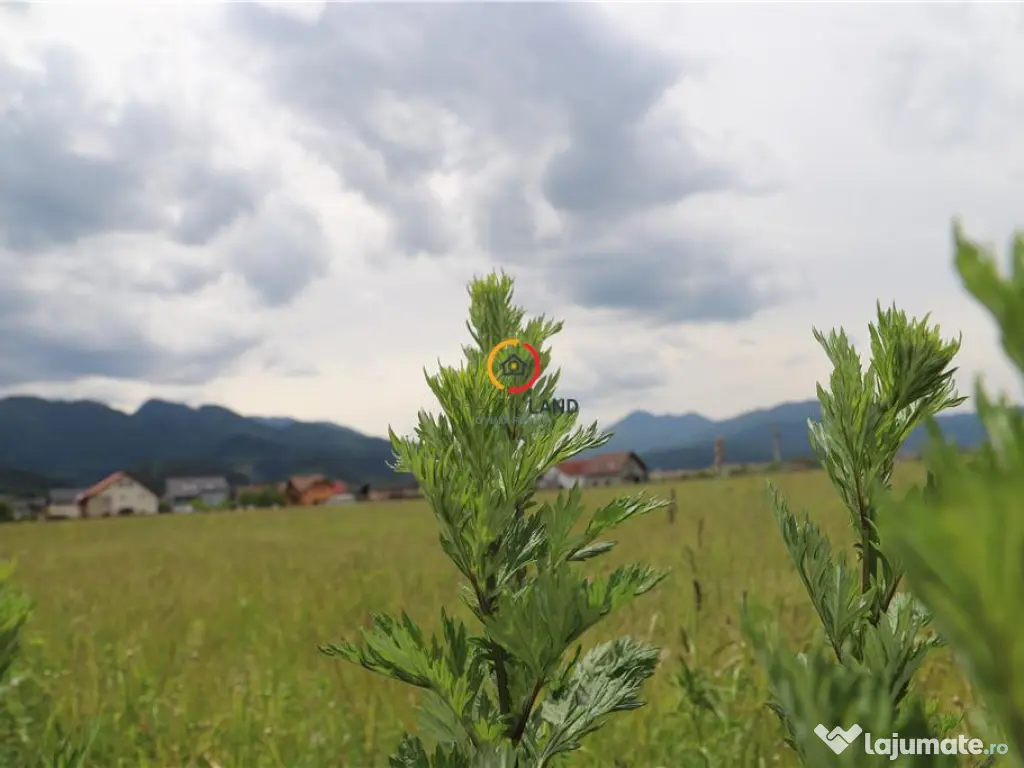 Teren intravilan13100 mp pentru dezvoltare imobiliara