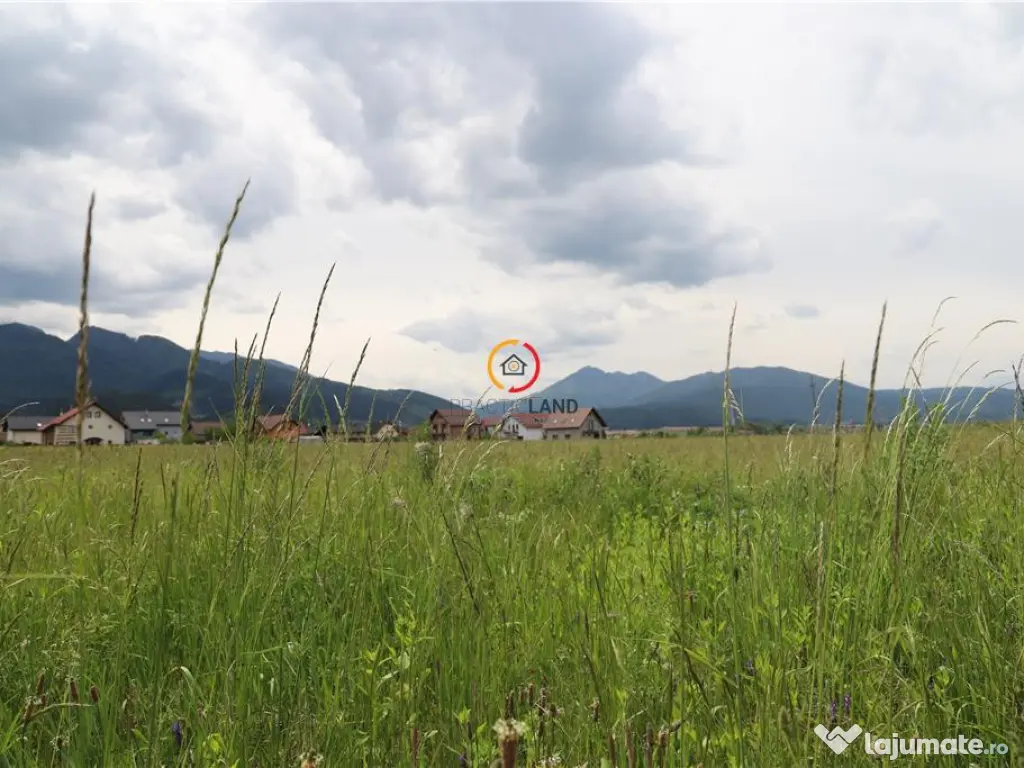 Teren intravilan13100 mp pentru dezvoltare imobiliara