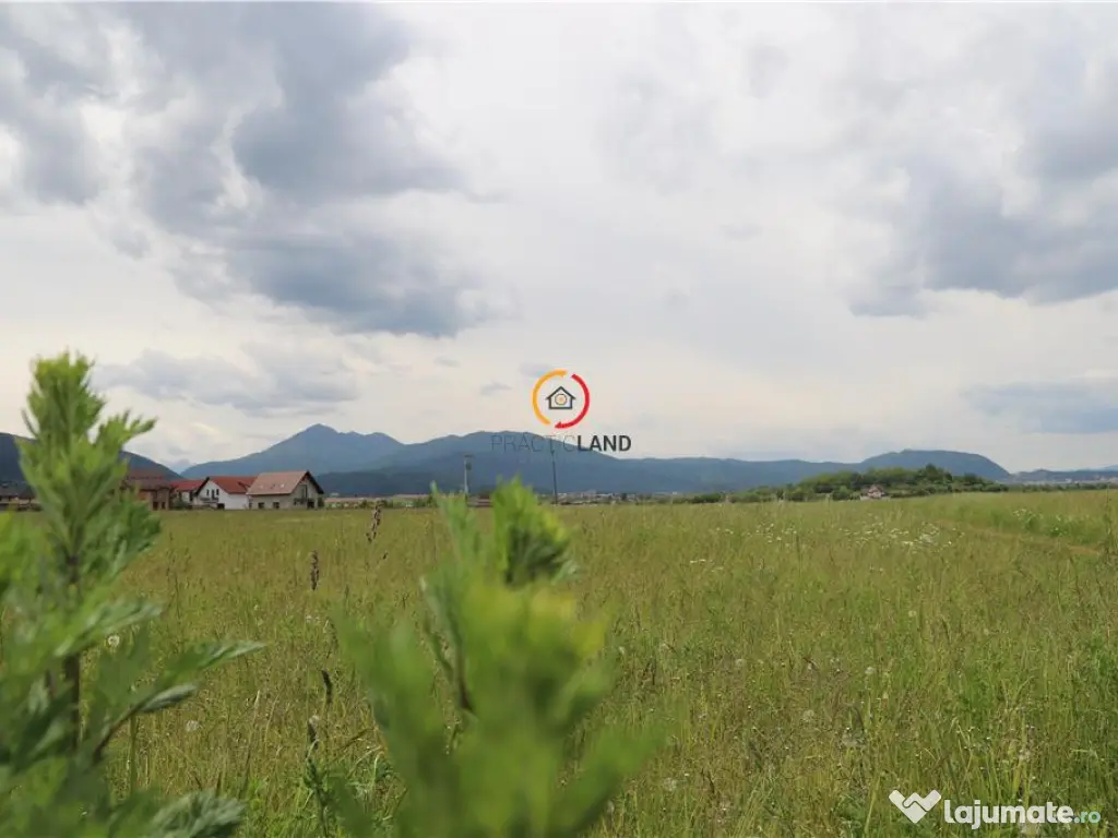 Teren intravilan13100 mp pentru dezvoltare imobiliara