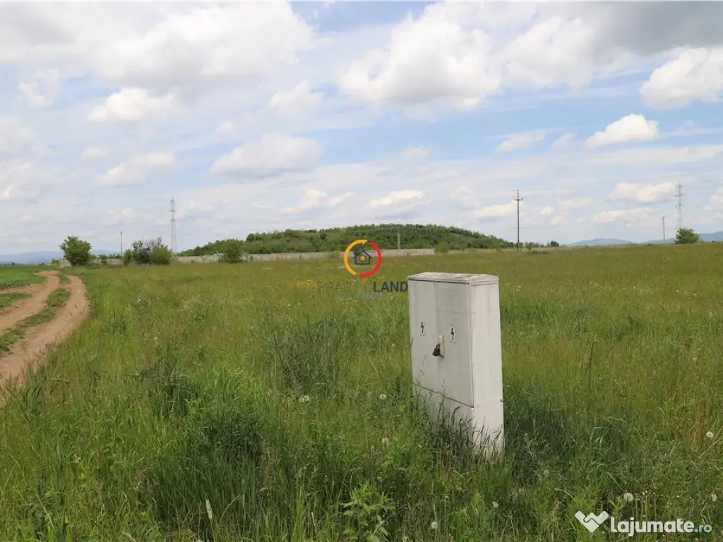 Teren intravilan13100 mp pentru dezvoltare imobiliara