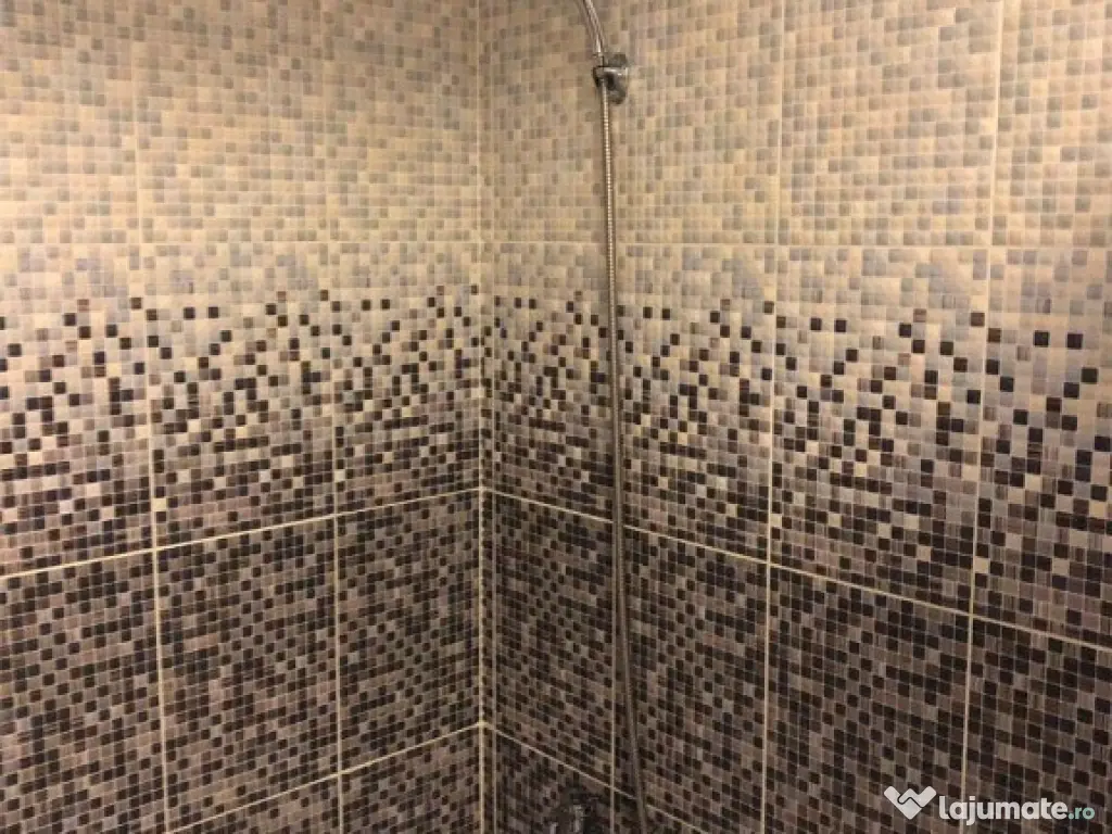 1 camera in Calea Sagului