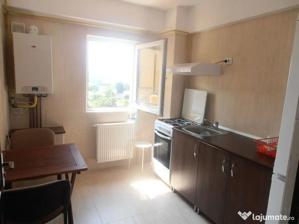 1 camera in Calea Sagului