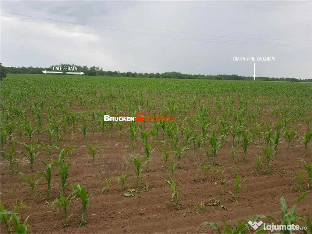 TEREN CU POTENTIAL INDUSTRIAL | 4,35 HA | ARAD, ZADARENI