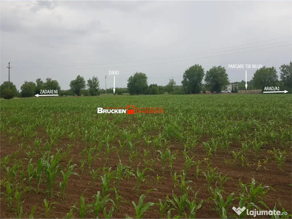 TEREN CU POTENTIAL INDUSTRIAL | 4,35 HA | ARAD, ZADARENI