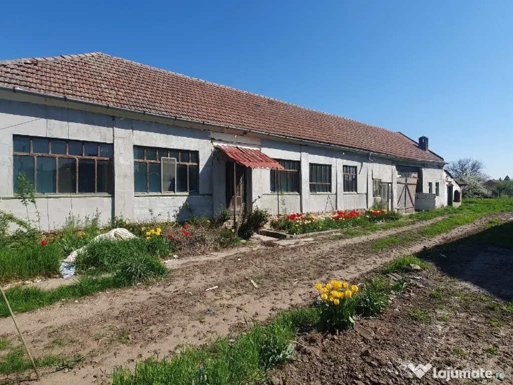 Teren cu casa veche in Zadareni - ID : RH-37250-property