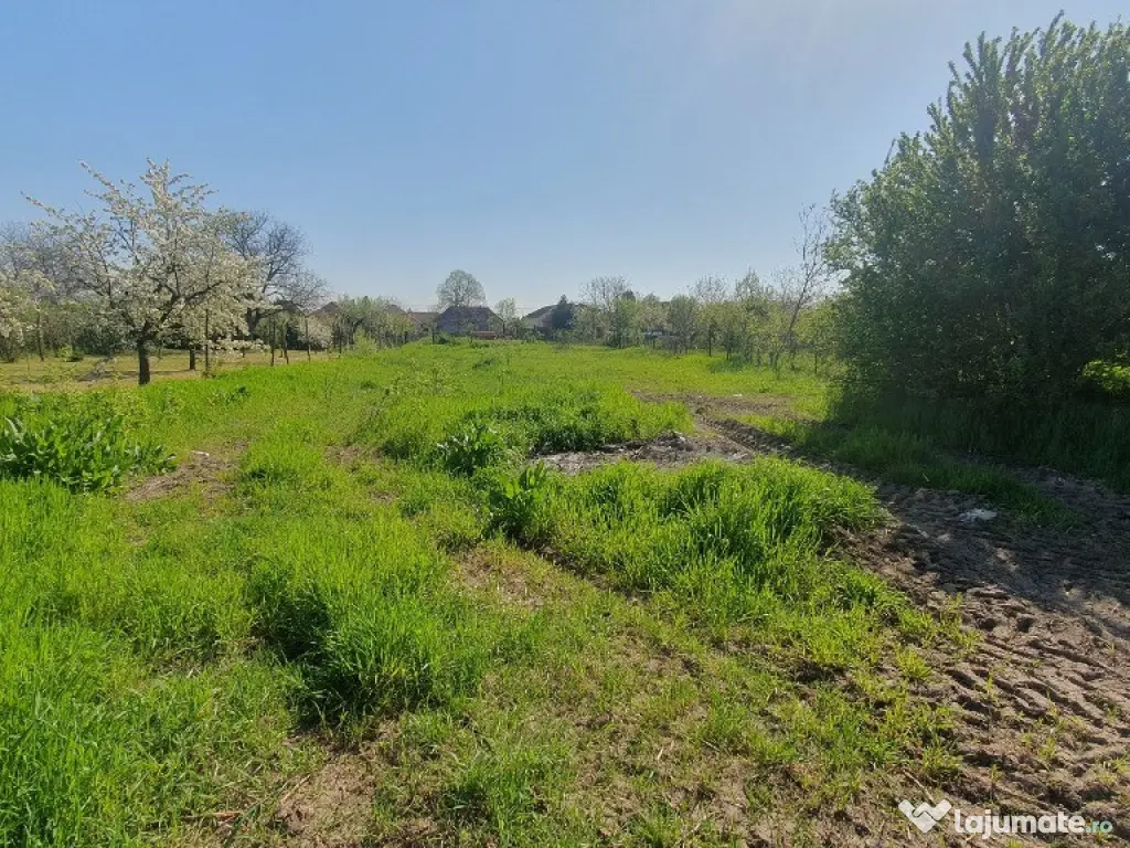 Teren cu casa veche in Zadareni - ID : RH-37250-property