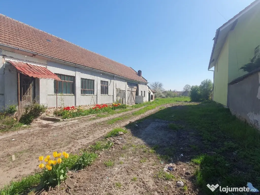 Teren cu casa veche in Zadareni - ID : RH-37250-property