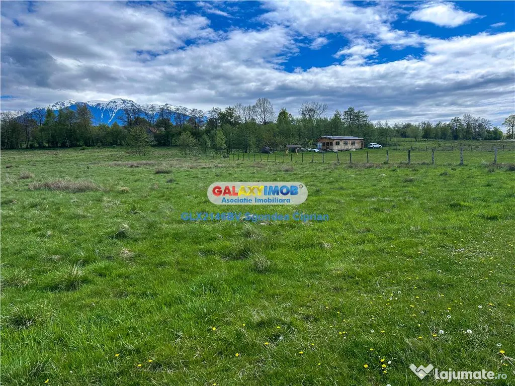 Teren Bran Zarnesti 3 km Castelul Bran 25 km Brasov 