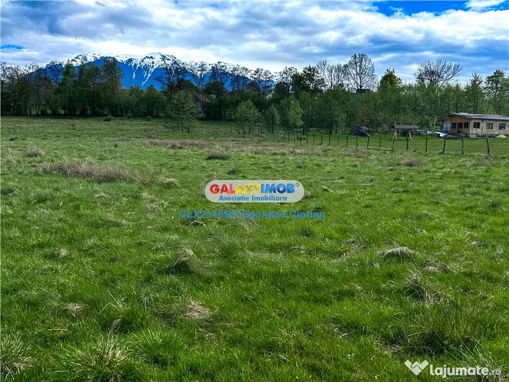 Teren Bran Zarnesti 3 km Castelul Bran 25 km Brasov 