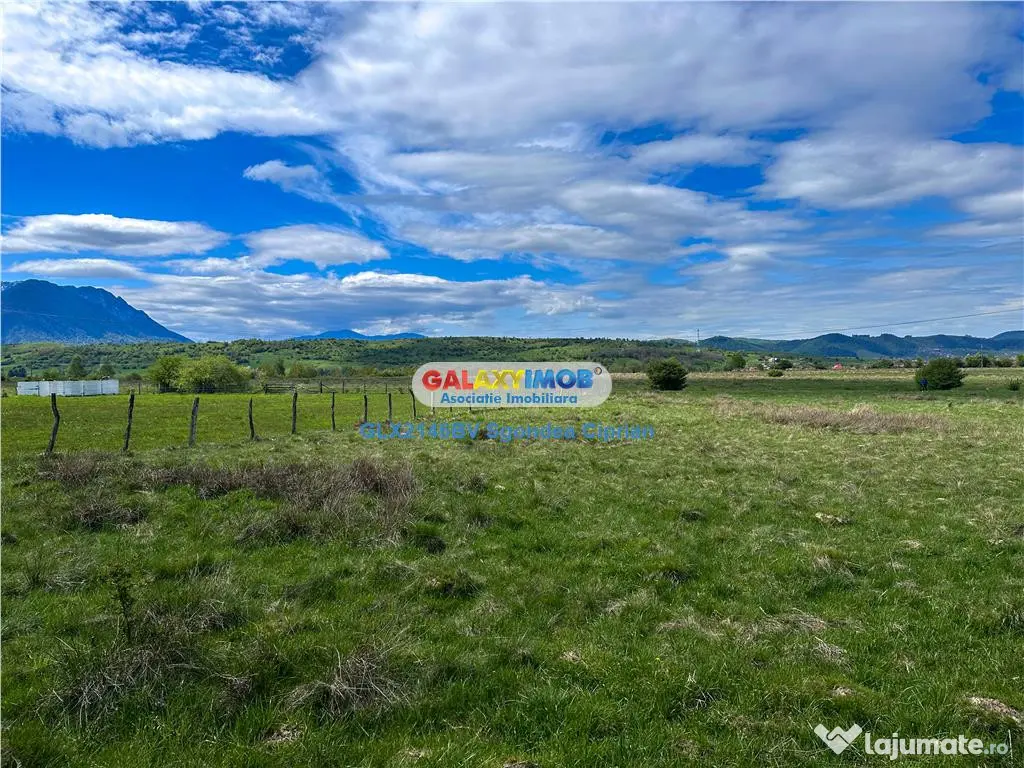 Teren Bran Zarnesti 3 km Castelul Bran 25 km Brasov 