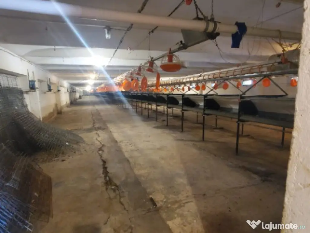 Inchirez ferma pentru pasari zona Gradiste - ID : RH-37819 