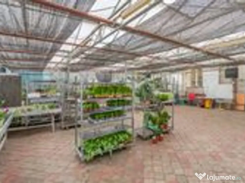 CASA BARTOLOMEU- sediu firma/ comercial/ servicii- zona c... 