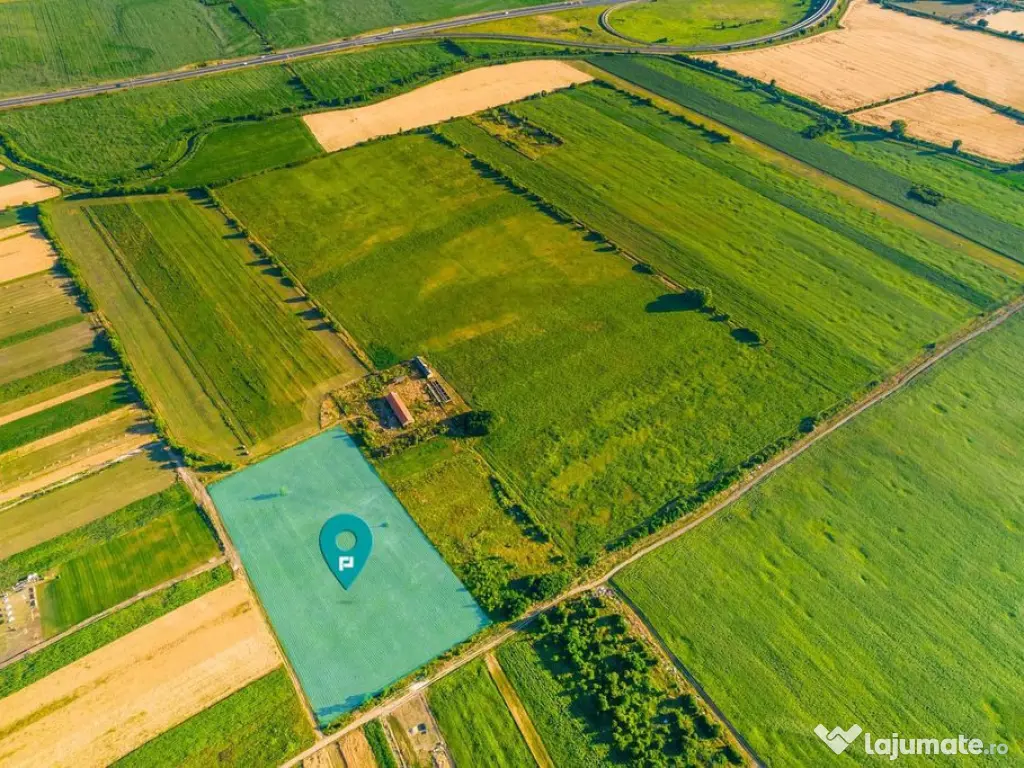 Teren de 10.000 mp situat în Bujac, Arad