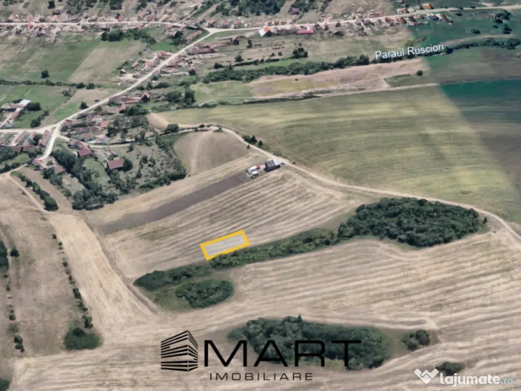 Teren extravilan 650mp Rusciori
