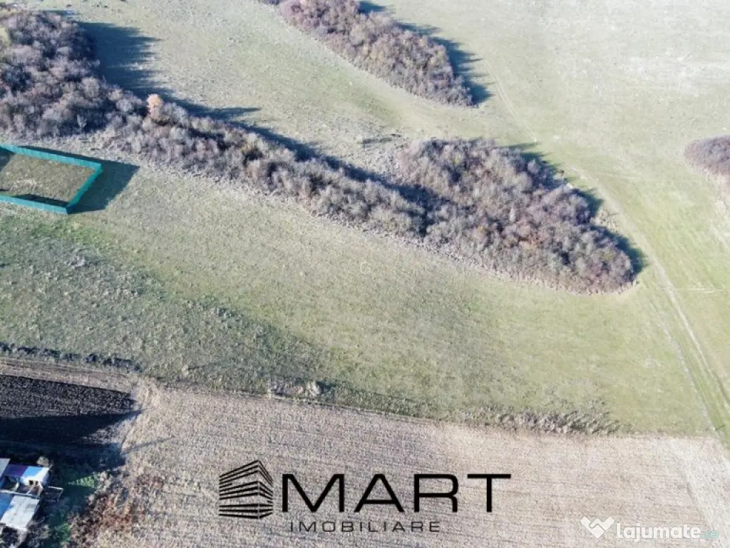 Teren extravilan 650mp Rusciori