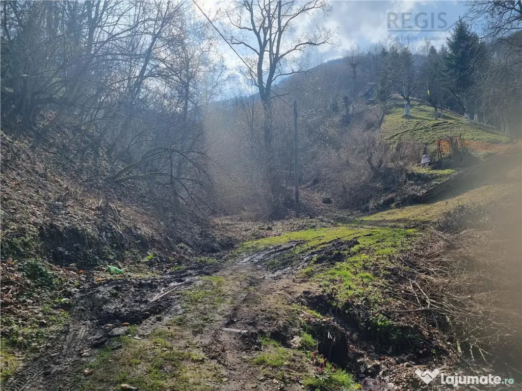 Teren arabil intravilan , priveliste mirifica , zona Schei