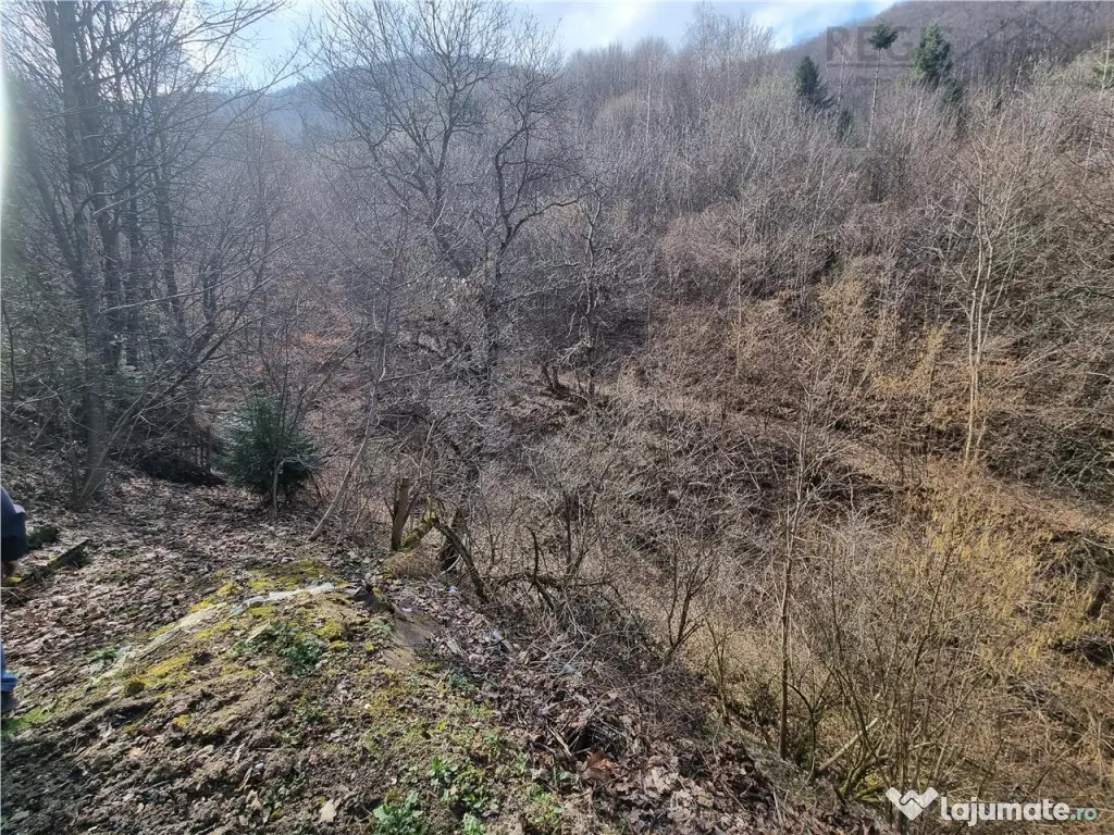 Teren arabil intravilan , priveliste mirifica , zona Schei