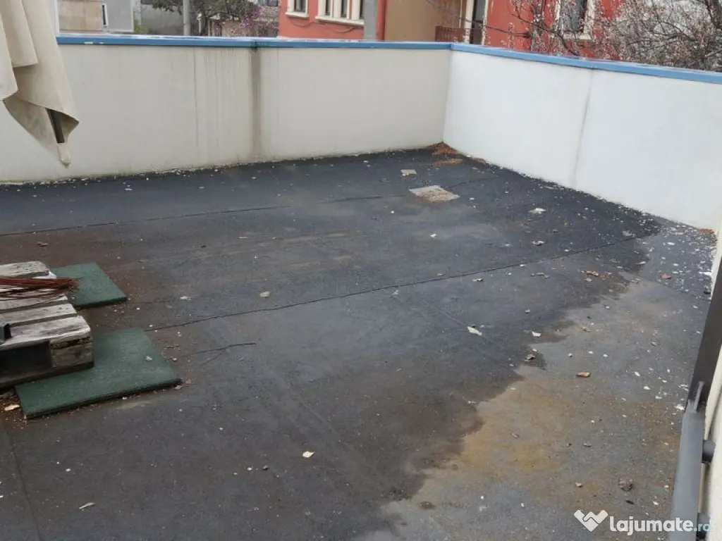 Pache Protopopescu-Agricultori-Matasari