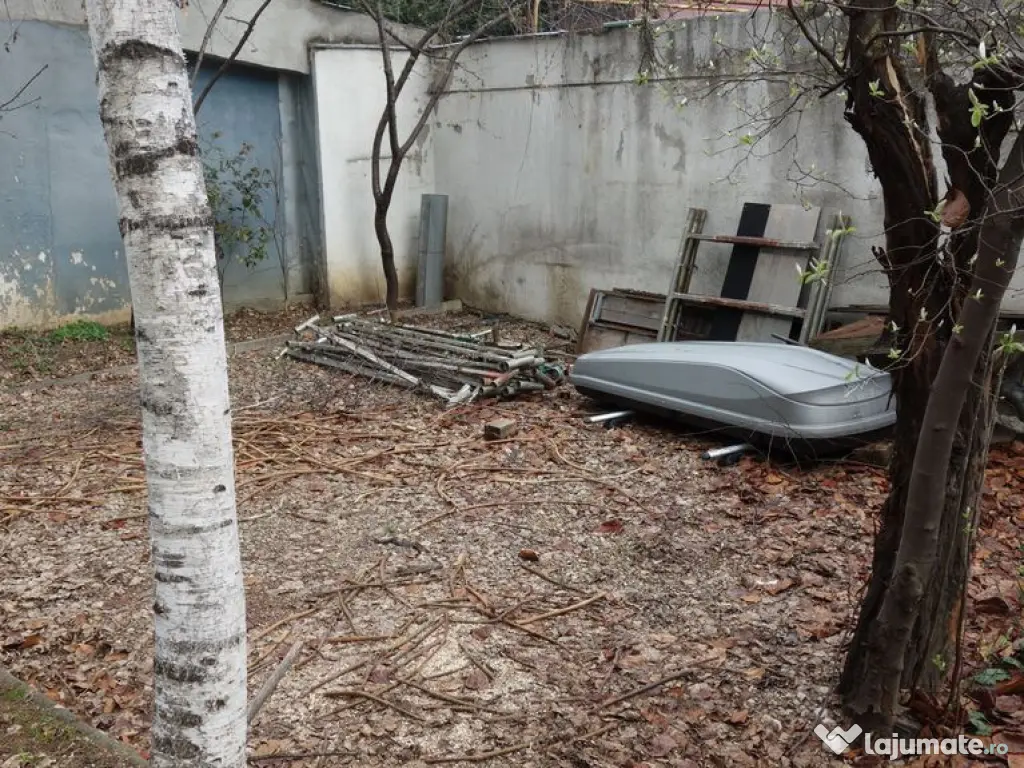 Pache Protopopescu-Agricultori-Matasari