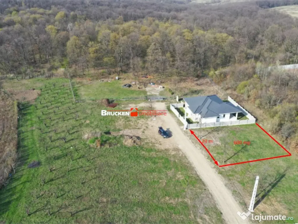 LOC DE CASA LANGA PADURE