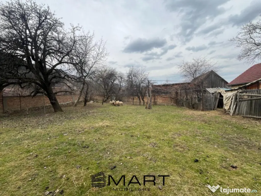 Casa cu teren de 1270 m Gura Raului 