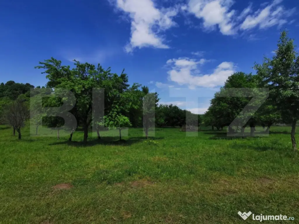 Teren, aproximativ 1 ha, in apropiere de Bistrita