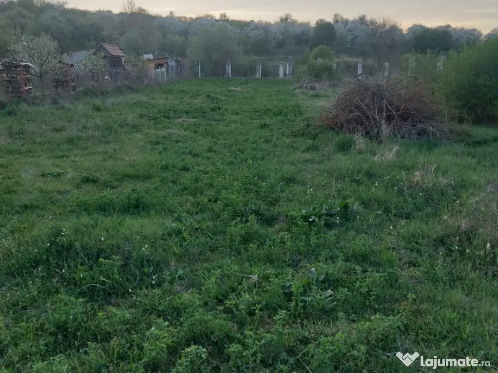 Teren intravilan, utilitati, CF, sat Sutu Ciurila 