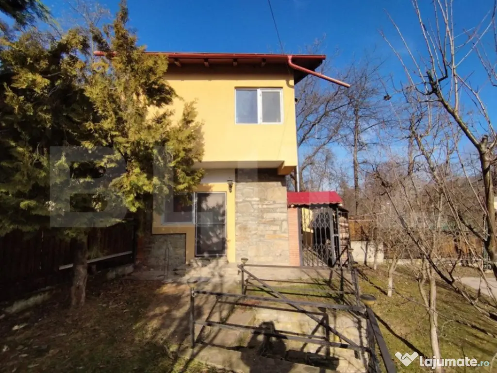 Casa individuala 4 camere plus casa de oaspeti, Drajna