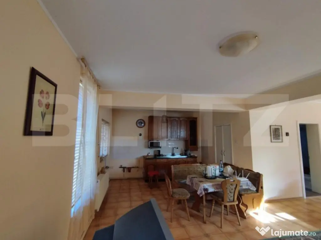 Casa individuala 4 camere plus casa de oaspeti, Drajna