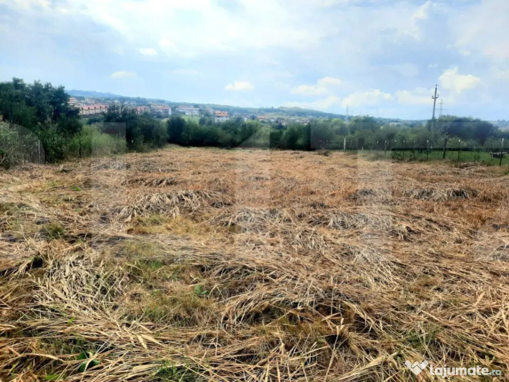 Reducere de pret!Teren intravilan, suprafata de 2506 mp, inc