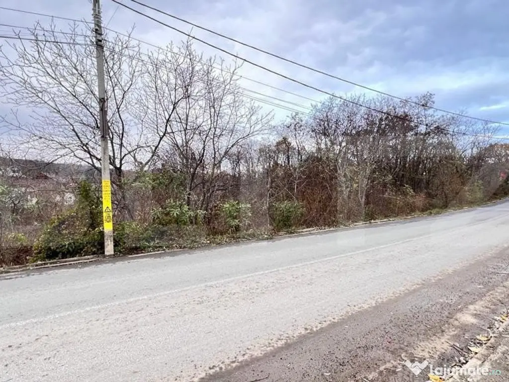 Teren, 1200mp, strada principala Barnova